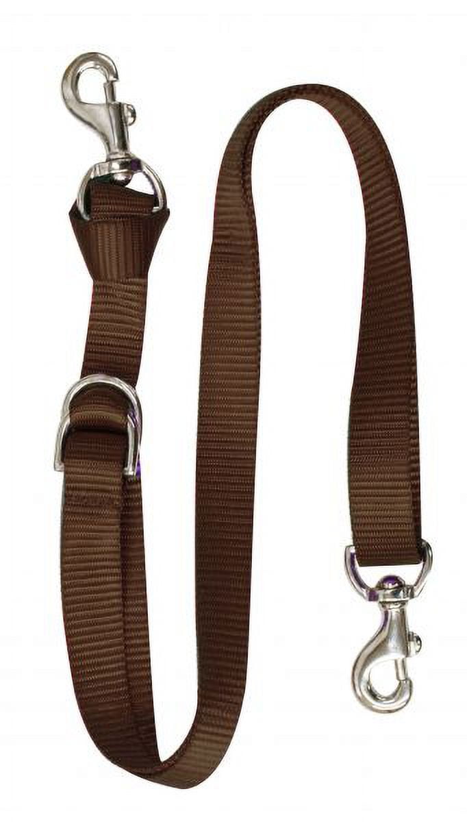Showman Pony Nylon Tie Strap – 63" X 1.5", Webbed Nylon With Leather Tie, Teal/Pink/Purple 2 thumbnail image