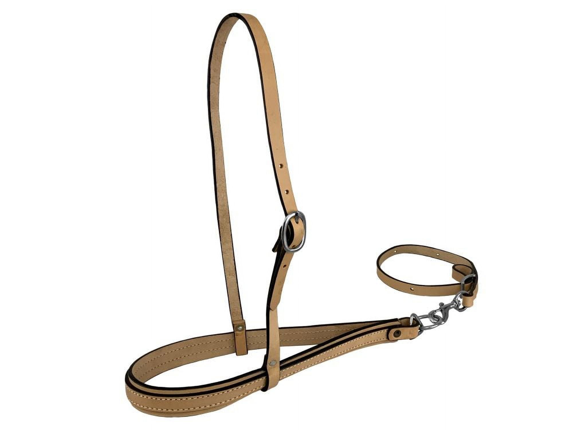 Collier mammaire en cuir de vache Showman Argentina avec