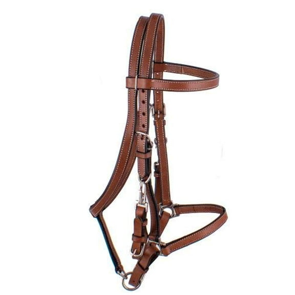 Showman Argentina Cow Leather Halter Bridle Combo