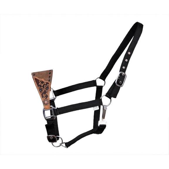 Showman Bronc Halter w/ Floral Tooled Noseband