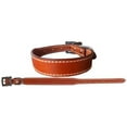 thumbnail image 1 of Showman Couture Genuine Medium Oil Leather Dog Collar (Small), 1 of 1