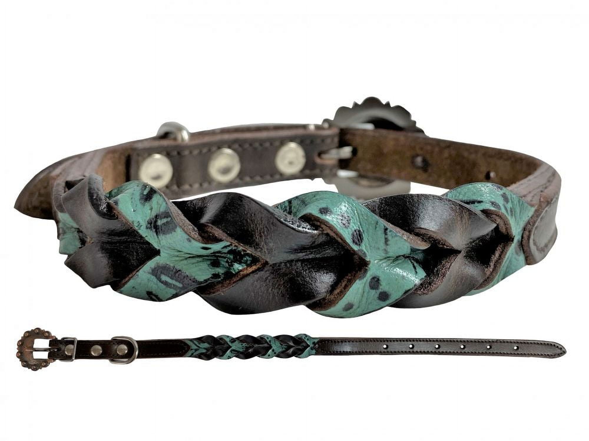 Showman Couture Teal & Dark Braided Leather Dog Collar (Large