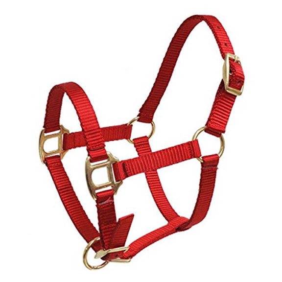 Showman FOAL/MINI Premium Nylon Halter w/ Brass Hardware