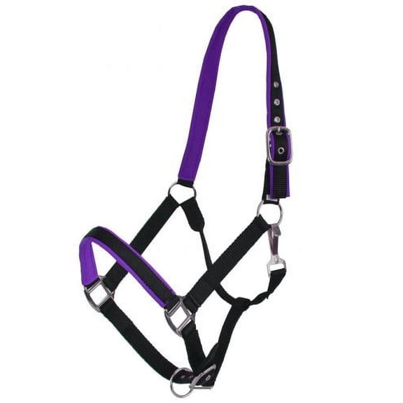 Showman Full Size Horse Nylon Colored Neoprene Lined Halter (Purple)