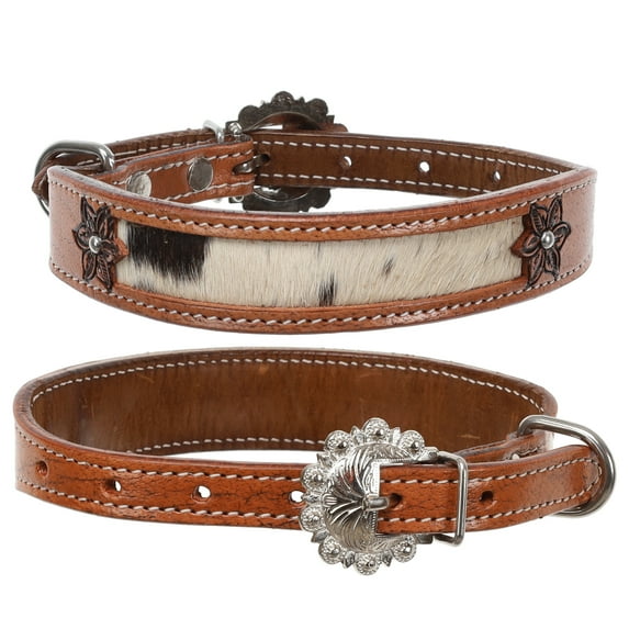 Showman Leather Lilly Dog Collar (Small)