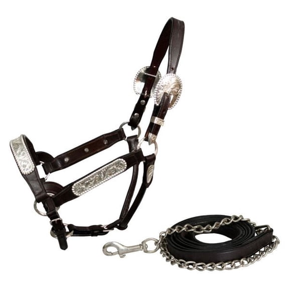 Showman Leather Show Halter w/ Engraved Silver Accents