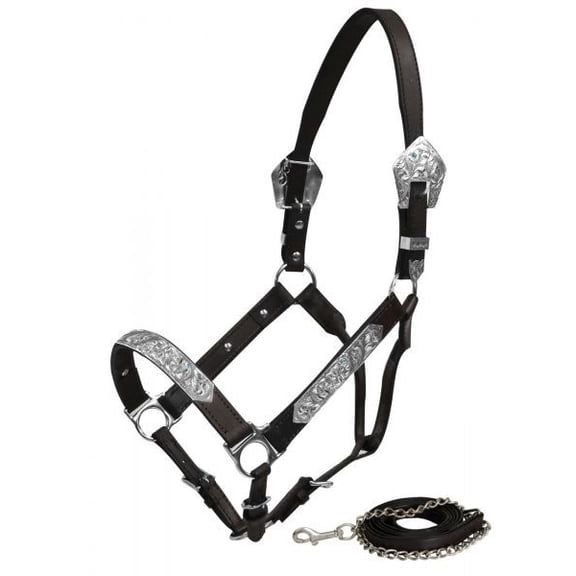 Showman Leather Show Halter w/ Engraved Silver & Aqua Rhinestones
