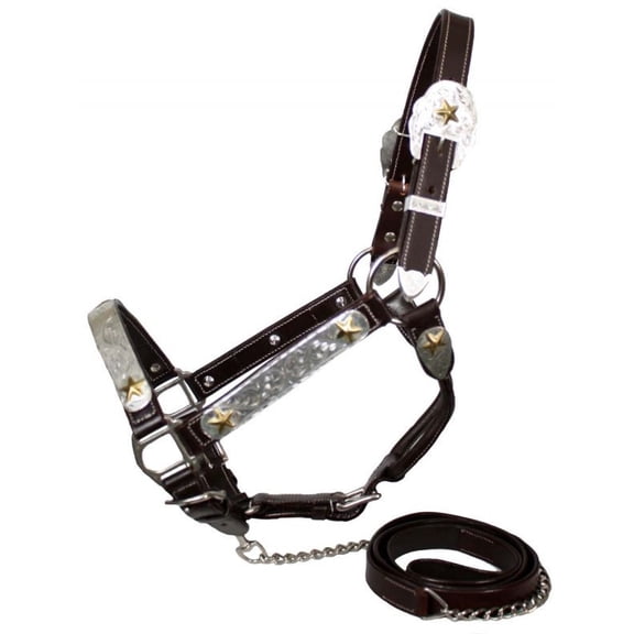 Showman Leather Show Halter w/ Engraved Silver & Gold Star Accents