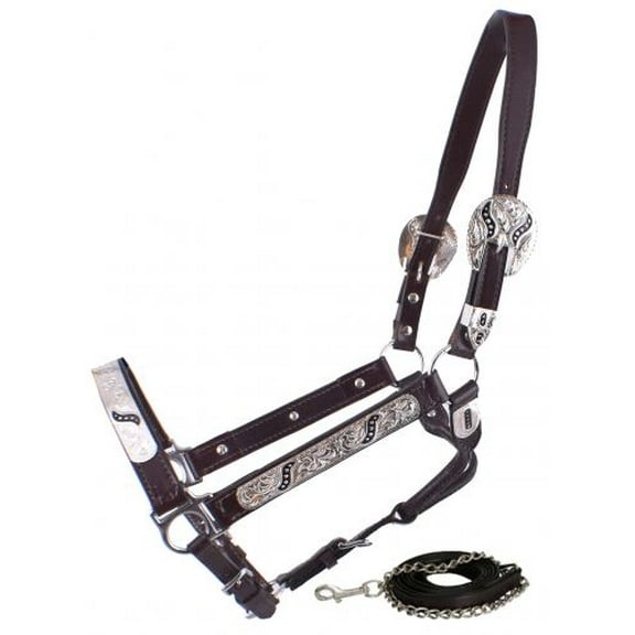Showman Leather Show Halter w/ Engraved Silver Plates & Black Scroll Inlays