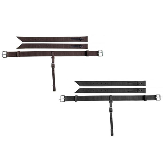 Showman Nylon Back Cinch w/ Roller Buckles