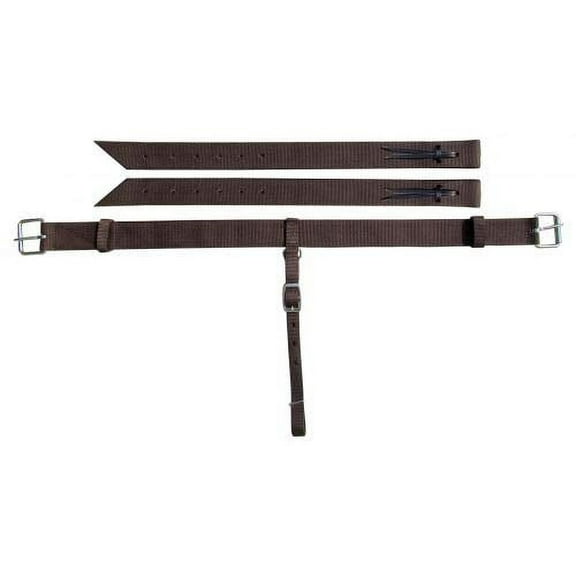 Showman Nylon Back Cinch w/ Roller Buckles