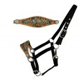 thumbnail image 1 of Showman Nylon Bronc Halter w/ Arrow Design Leather Noseband, 1 of 1