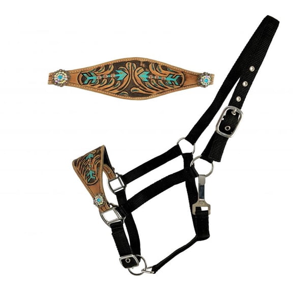 Showman Nylon Bronc Halter w/ Arrow Design Leather Noseband