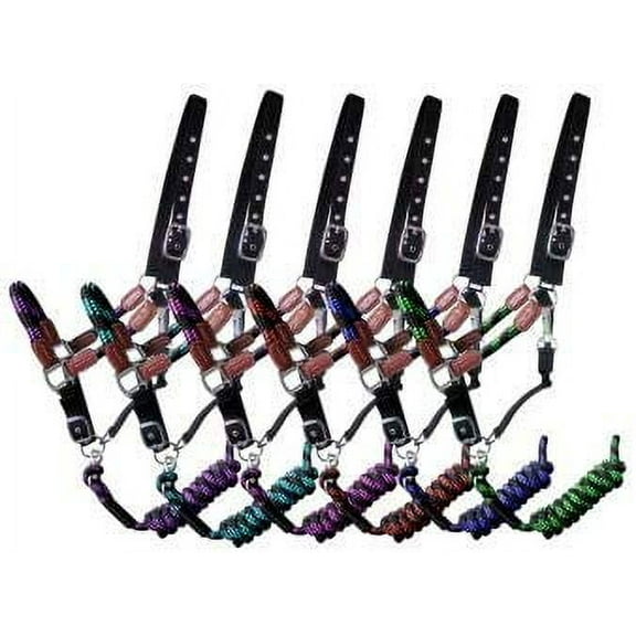 Showman Nylon Halter w/ Leather Accents & Matching Lead Rope