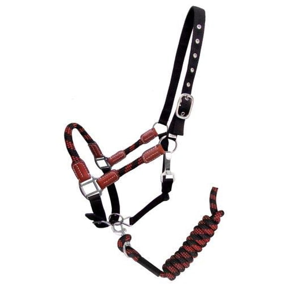 Showman Nylon Halter w/ Leather Accents & Matching Lead Rope