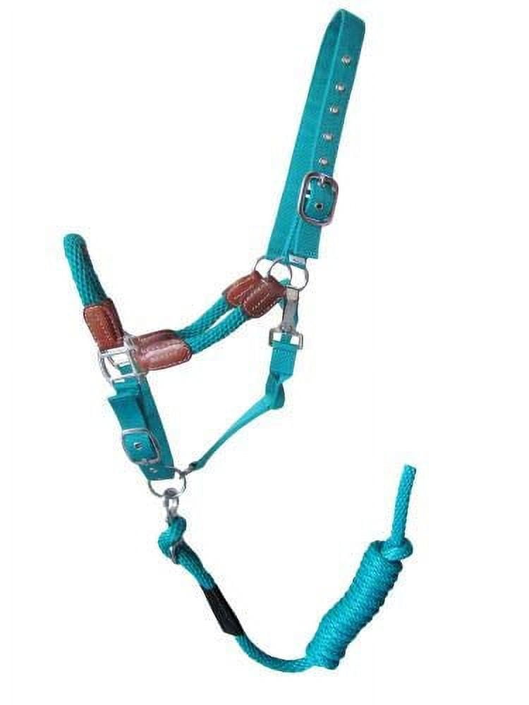 Showman Nylon Halter w/ Leather Accents & Removable 8' Lead Rope ...