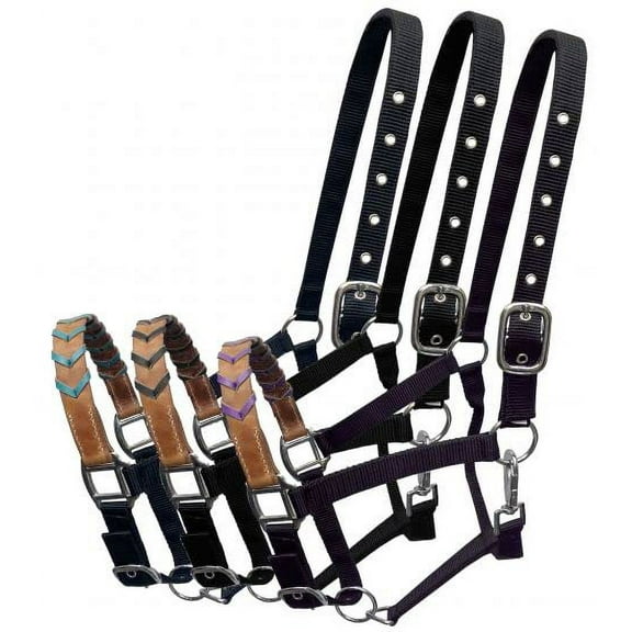 Showman Nylon Halter w/ Leather Braided Accent Nose