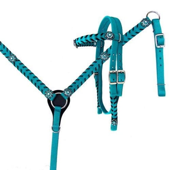 Showman Nylon Headstall & Breast Collar Set w/ Crystal Rhinestone Conchos (Teal)