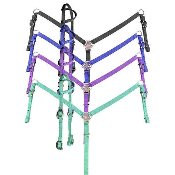 Showman Nylon Single Ear Headstall & Breast Collar Set (Blue)