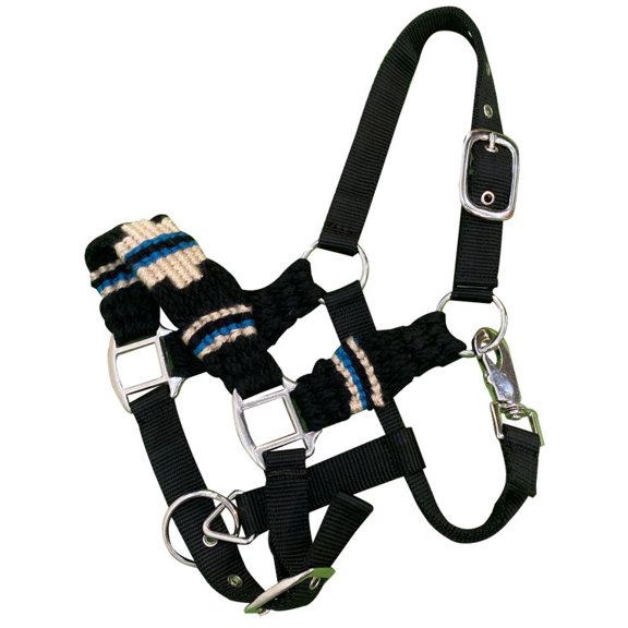 Showman Pony Black, Blue & Cream Cotton Corded Nylon Halter