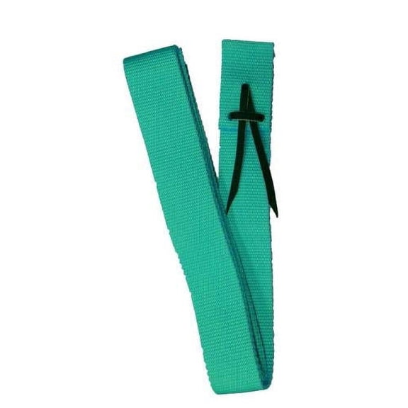 Showman Pony Nylon Tie Strap (Teal)
