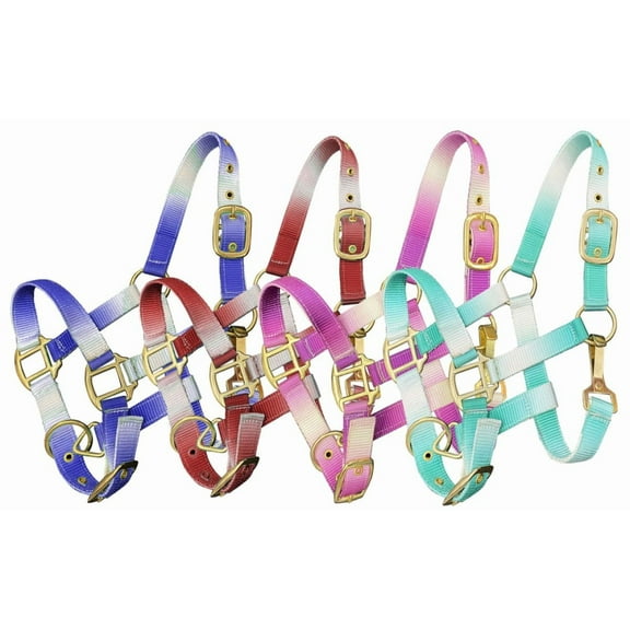 Showman Pony Ombre Nylon Halter (Royal Blue)