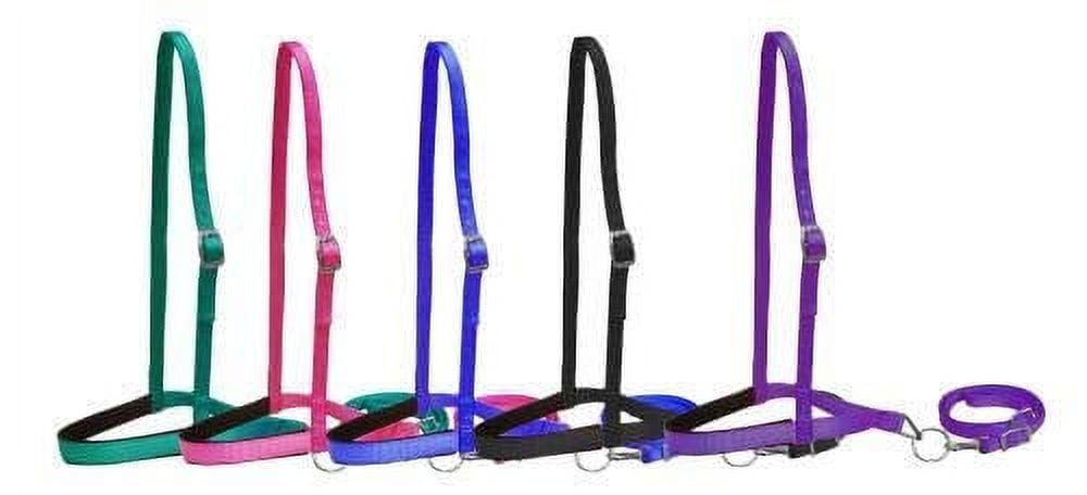 Showman Pony Nylon Tie Strap – 63" X 1.5", Webbed Nylon With Leather Tie, Teal/Pink/Purple 7 thumbnail image