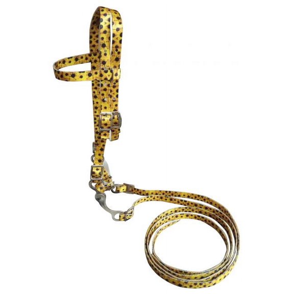 Showman Pony Sunflower Print Nylon Browband Bridle