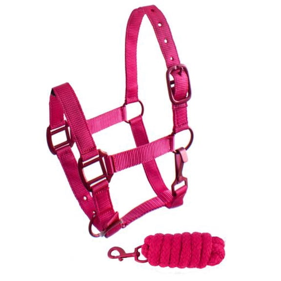 Showman Pony Triple Ply Nylon Halter w/ Lead Rope (Pink)