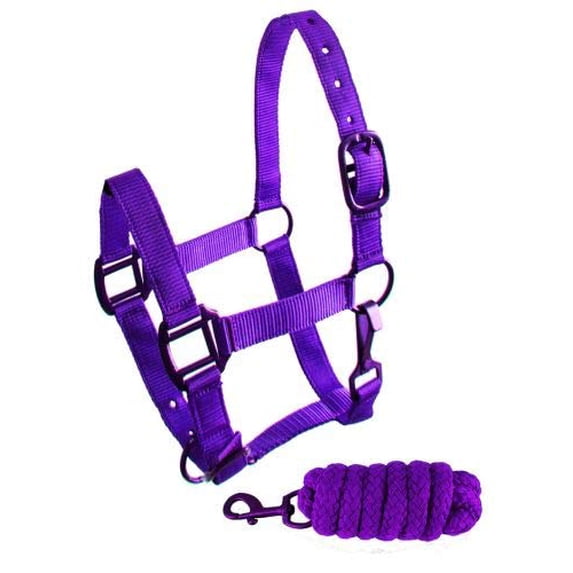 Showman Pony Triple Ply Nylon Halter w/ Lead Rope (Purple)