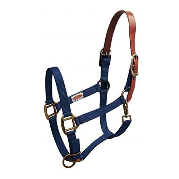 Showman Premium Nylon Breakaway Halter w/ Leather Crown