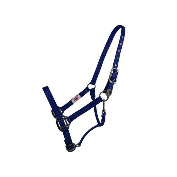 Showman Premium Nylon Halter w/ Heavy Duty Hardware