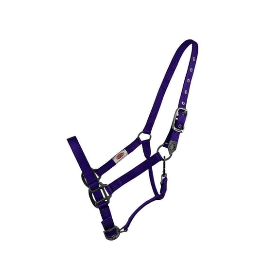 Showman Premium Nylon Halter w/ Heavy Duty Hardware