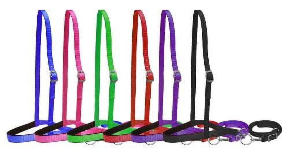 Rênes De Concours En Nylon Tressé Showman Premium - Rouge, Blanc, Bleu - Neuves