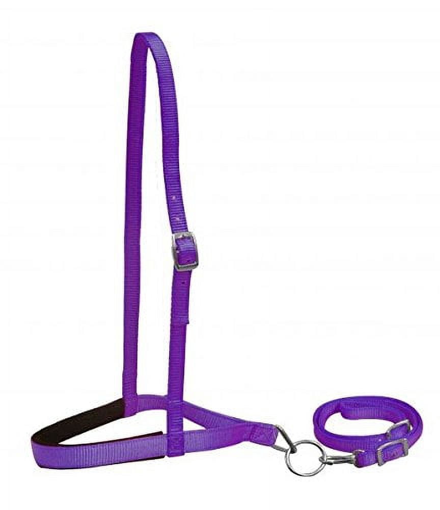 Showman Cavezza In Nylon Tie Dye – Design Colorato Per Cavallo – Supporto Premium