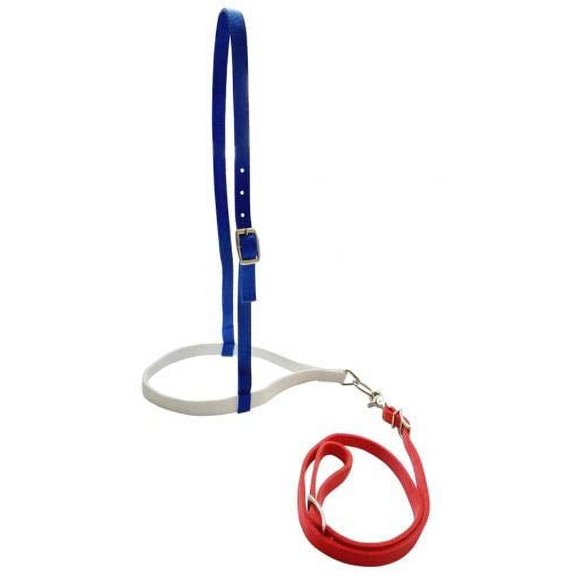 Showman Red, White & Blue Nylon Noseband Tie Down