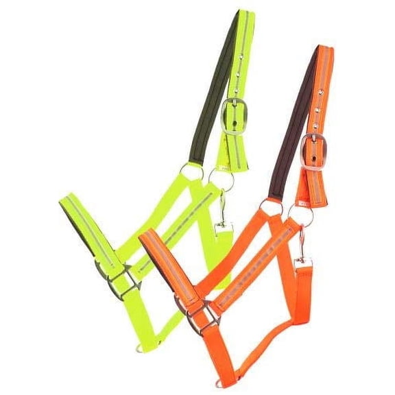 Showman Reflective Neoprene Lined Nylon Halter (Orange)