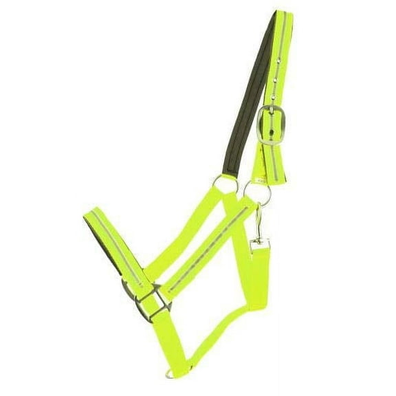 Showman Reflective Neoprene Lined Nylon Halter