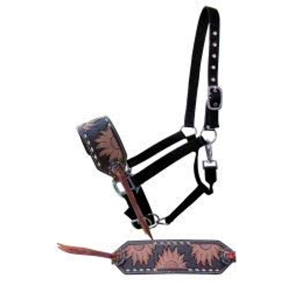 Showman Sunflower Tooled Leather Bronc Halter w/ Buckstitch Trim