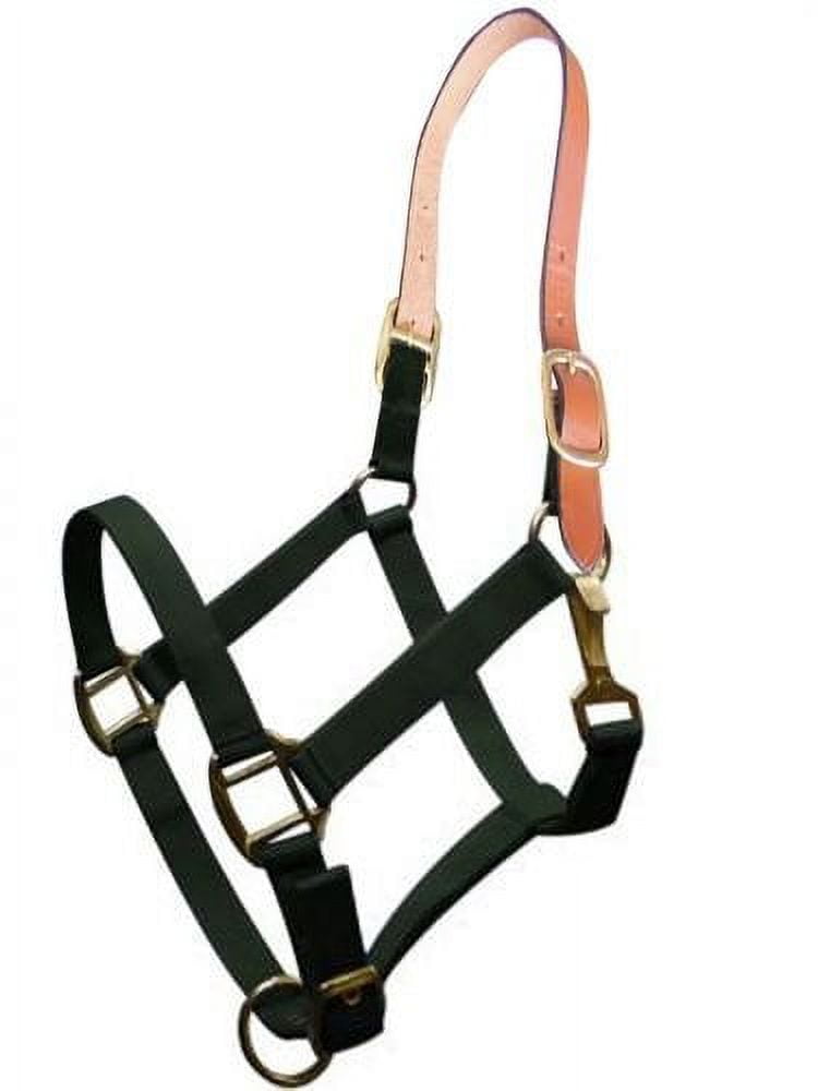 Showman ® Pony triple ply nylon halter and lead rope
