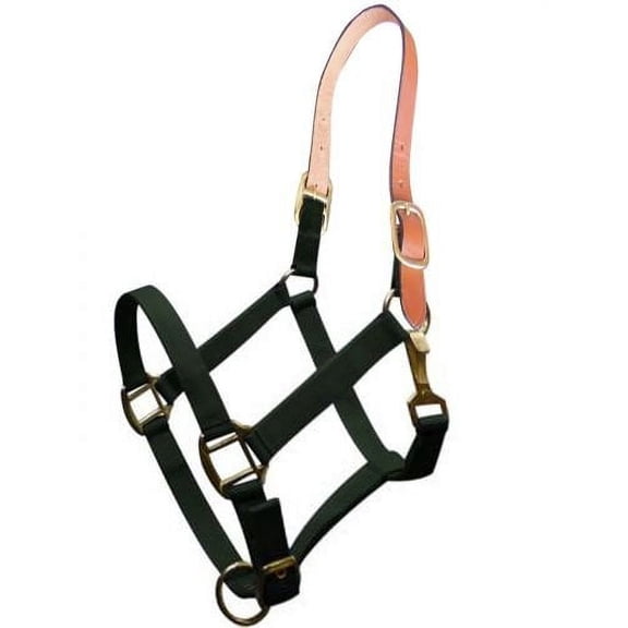 Showman Triple Ply Nylon Halter w/ Leather Crown (Green)