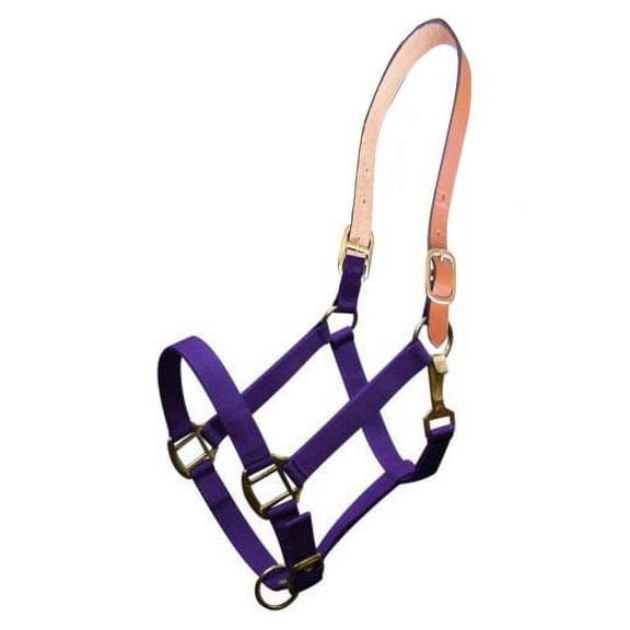 Showman Triple Ply Nylon Halter w/ Leather Crown (Purple)