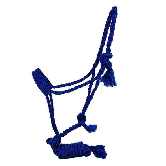 Showman Woven Nylon Mule Tape Halter w/ 8' Removable Lead (Blue)