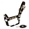thumbnail image 1 of Showman Yearling Leather Show Halter w/ Engraved Silver, 1 of 1
