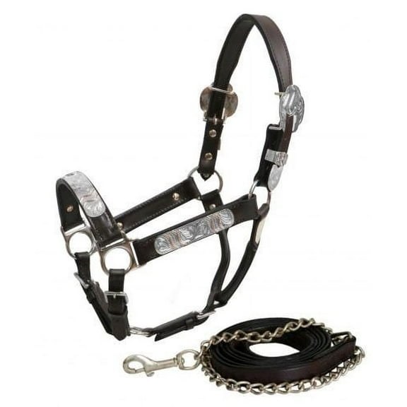 Showman Yearling Leather Show Halter w/ Lead