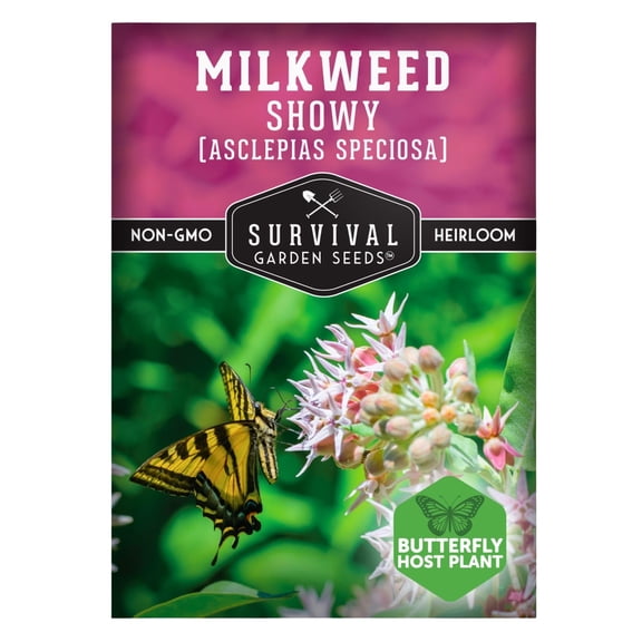 Showy Milkweed Seeds for Planting - Monarch Butterfly Host | Full Sun Perennial Flower - 1 Pack