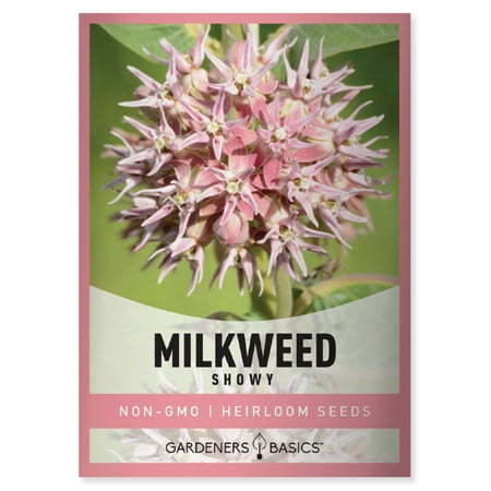 Showy Milkweed Seeds