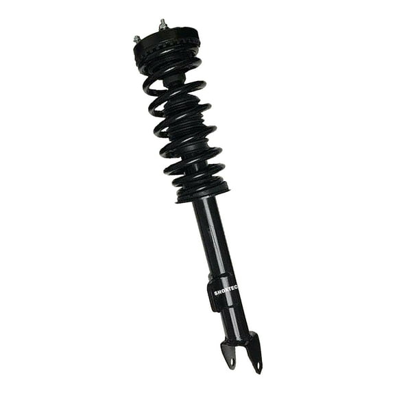 Shoxtec Front Complete Struts Assembly fits 2006-2010 Dodge Charger; 2006 Dodge Magnum Coil Spring Assembly Shock Absorber kits Repl Part No. 172408