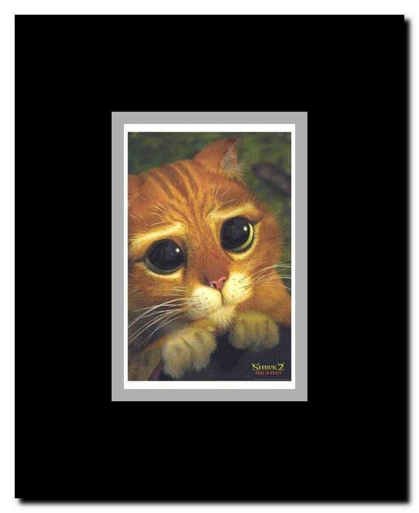 Shrek 2 Framed Movie Poster