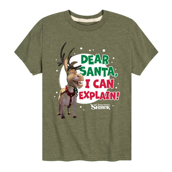 Shrek - Dear Santa I Can Explain - Youth Short Sleeve Graphic T-Shirt